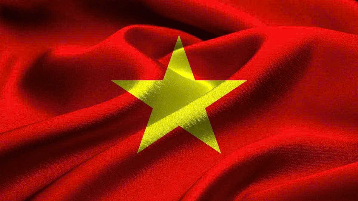 in vải cây lấy liền TPHCM đa dạng sản phẩm TTP 0911 022 732