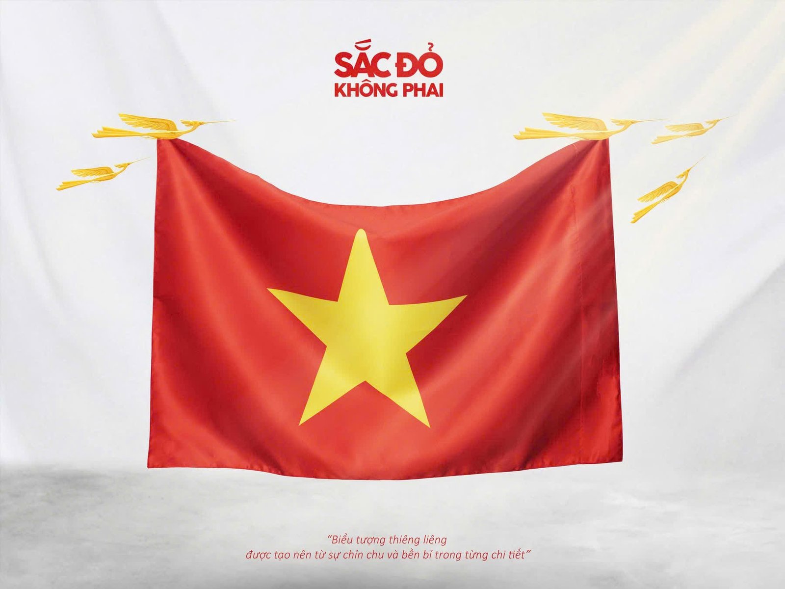 In vải 3D - 0911 022 732