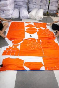 in vải 3D TPHCM - TTP 0911 022 732