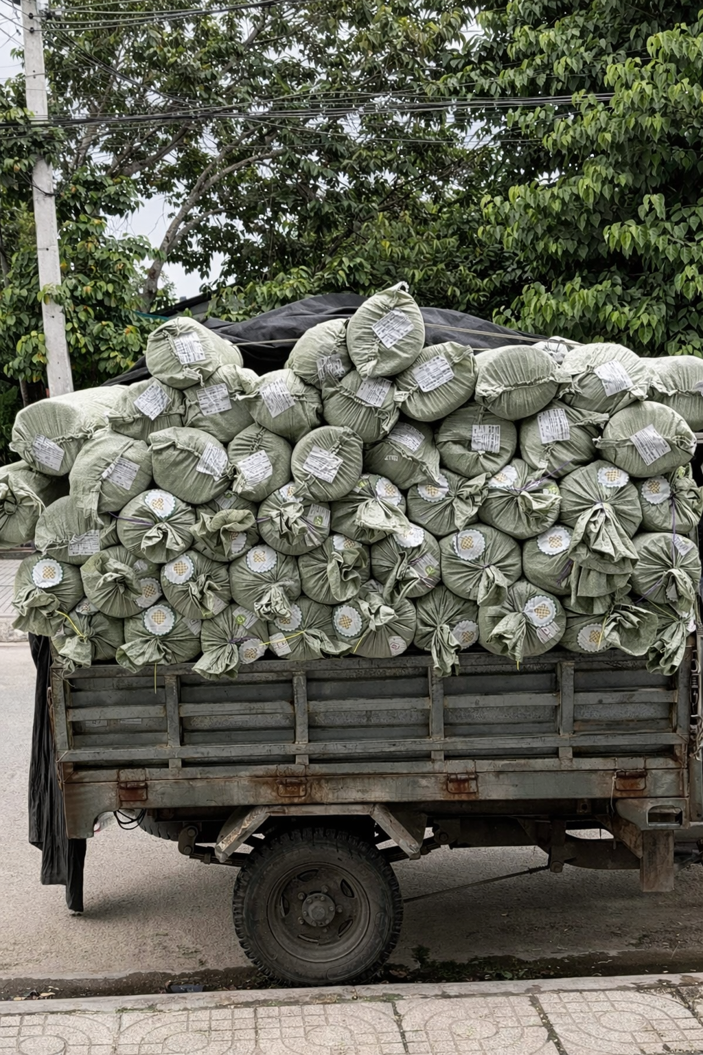 in vải cây giá rẻ tphcm giao hỏa tốc